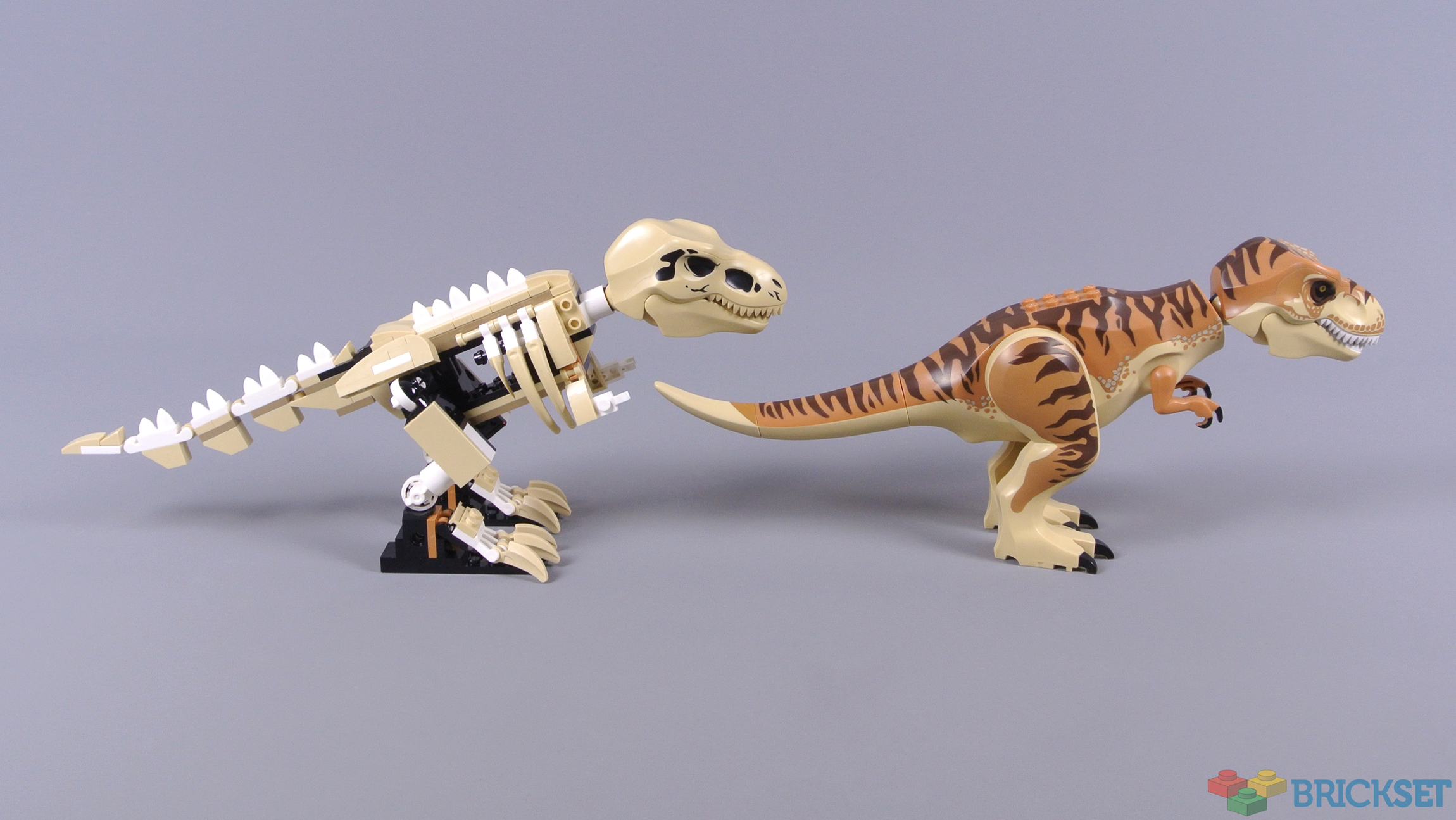 LEGO 76940 T. rex Dinosaur Fossil Exhibition review Brickset